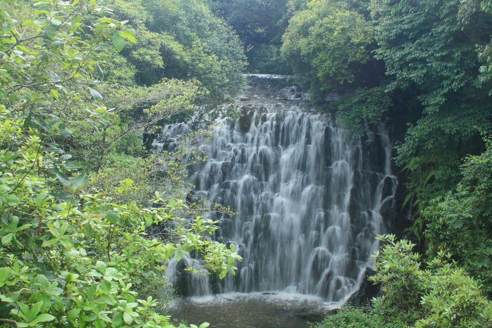 1st tier of Elephant Falls, Shillong
