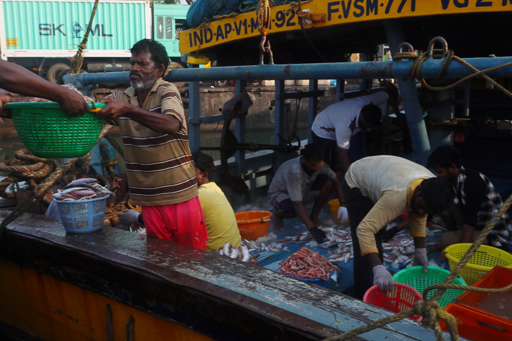 Image of the busy fishing harbour in Vizag.