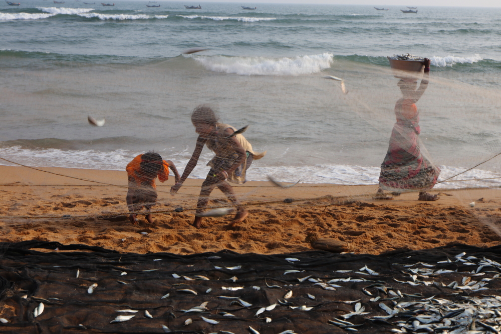 Children busy in collect fishes from sand and keep then on the mat
