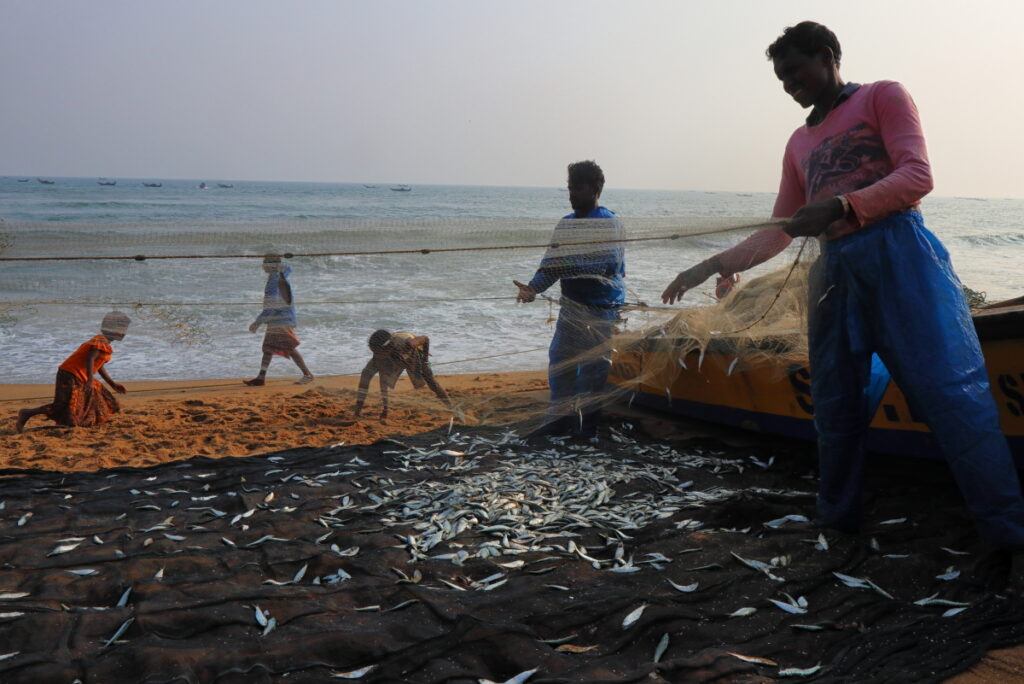 Fishermen clearing fishing nets in Penthakata