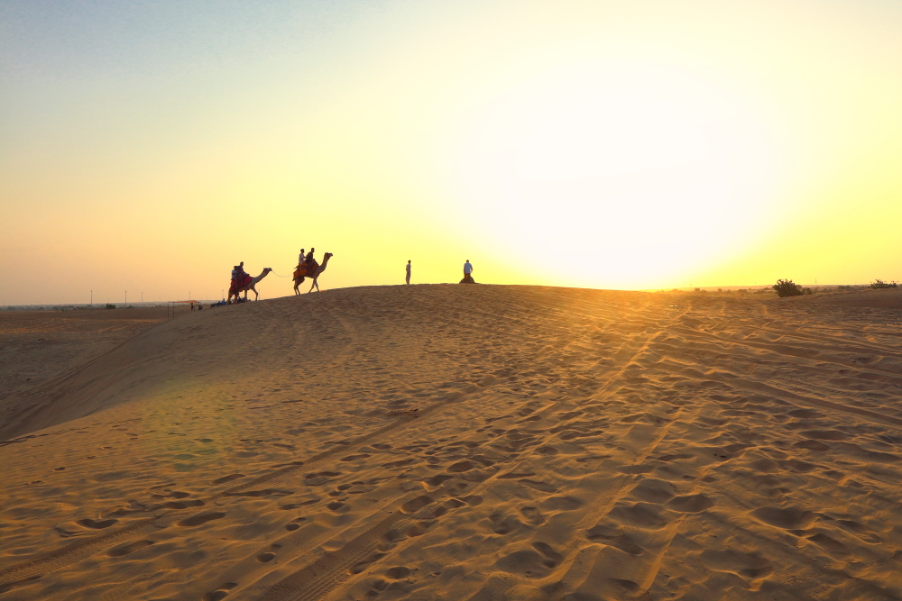 Scene of morning camel safari in the desert near Sam.