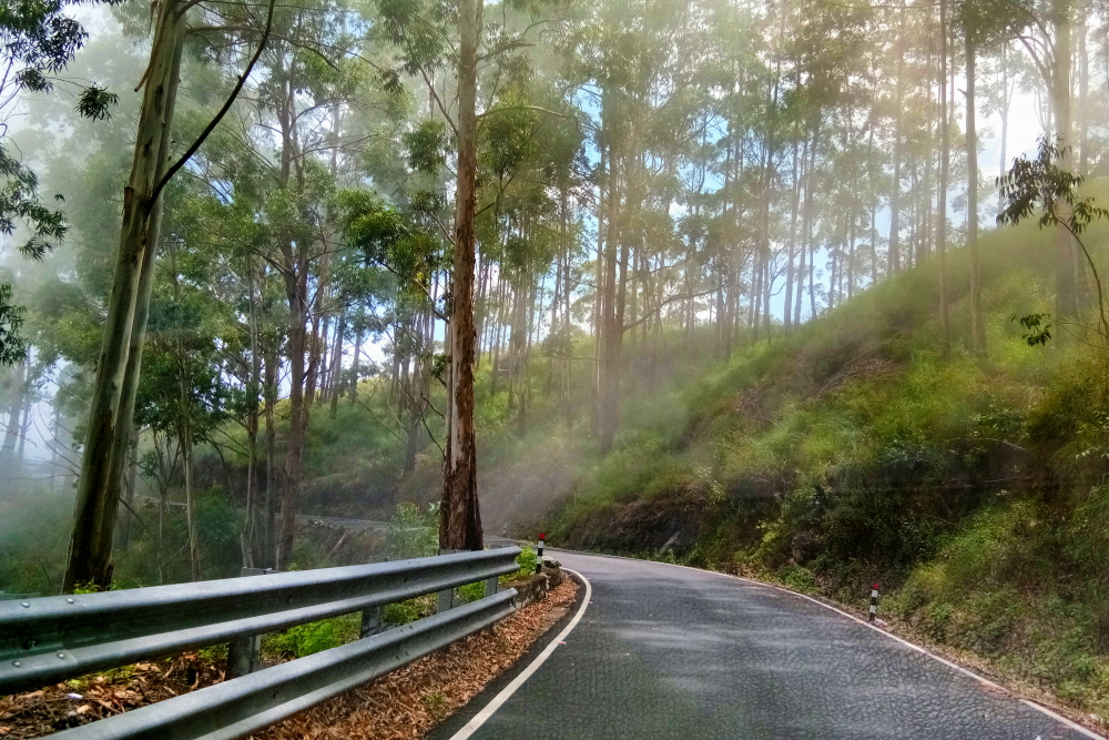 Road towards Kodaikanal