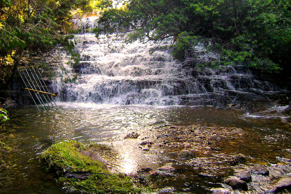 Pambar Falls in Kodaikanal