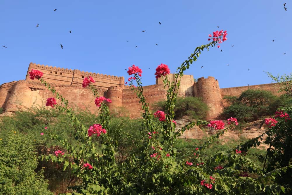 Mehrangarh Fort is a UNESCO world heritage site and an 500 years old fort in Jodhpur, Rajasthan.