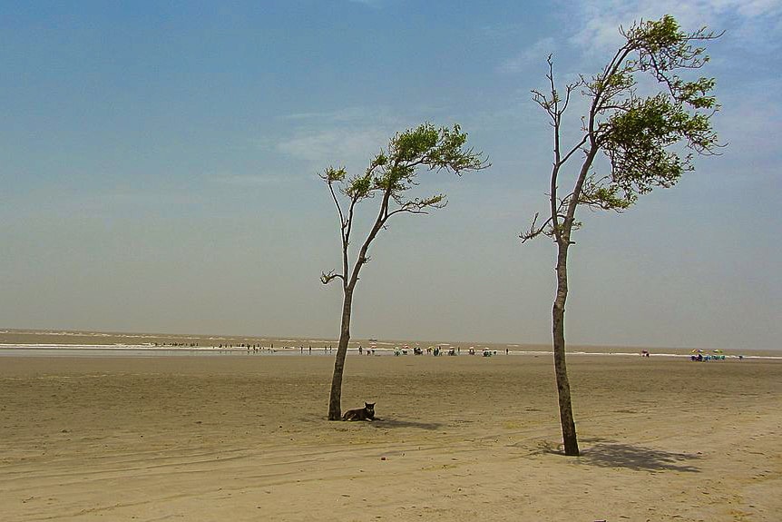 The sandy beach of Bakkhali in West Bengal
