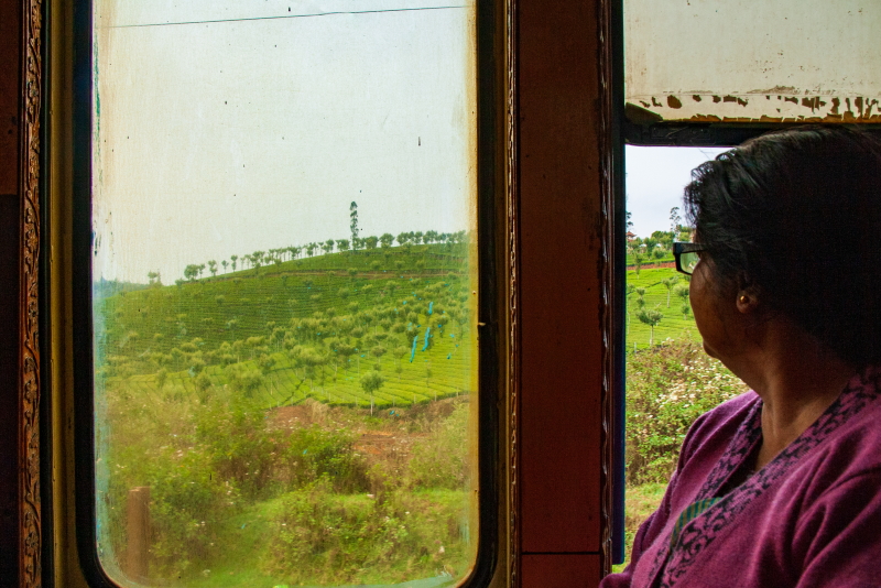 A view of Nilgiri hills covered with tea plantations from the Ooty toy train.