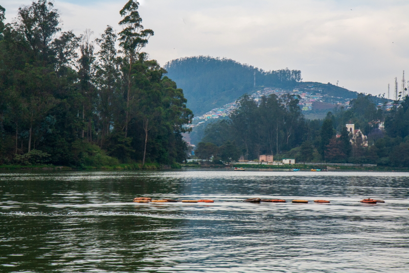 Ooty Lake which is situated centrally in Ooty town.