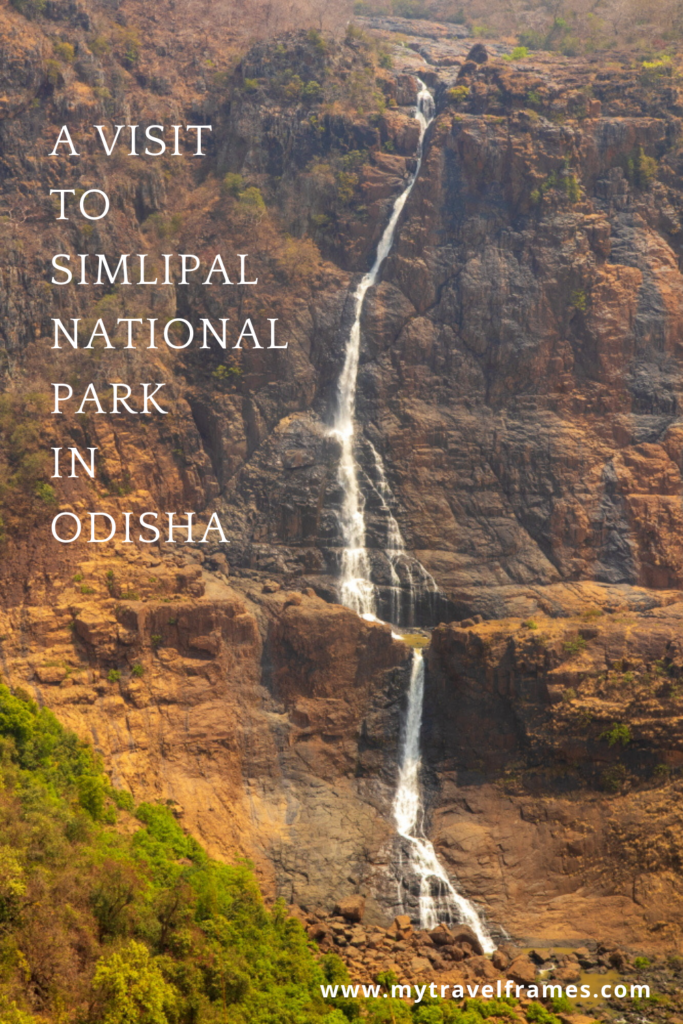 Simlipal National Park | Simlipal Tiger Reserve | National Parks in India | Simlipal Biosphere Reserve #Odisha #jungle #safari