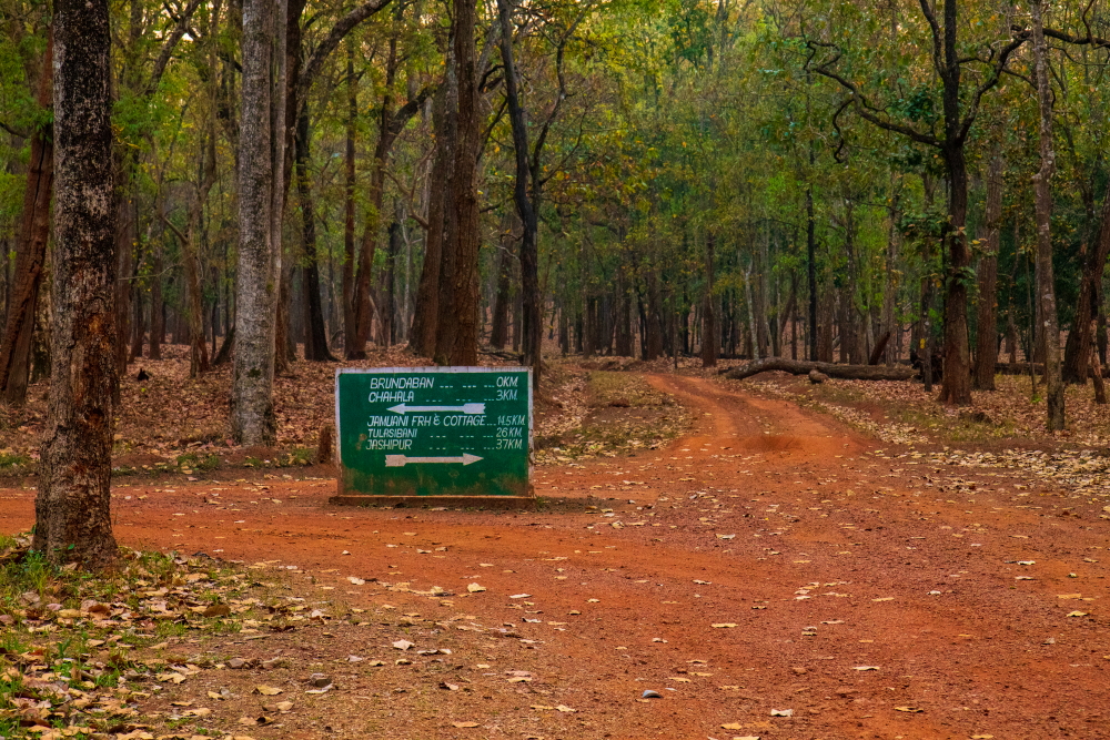 A roadside board made of stone indicating directions and distances to different locations in and around Simlipal Forest.